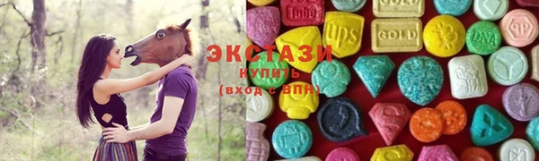 стаф Осинники