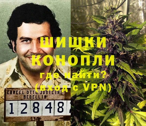 молекула духа Осташков