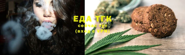 стаф Осинники