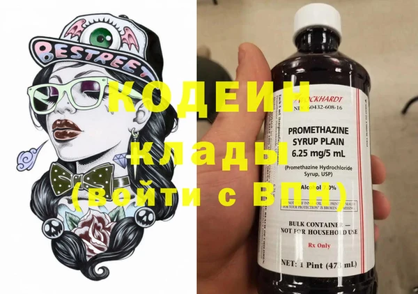 стаф Осинники