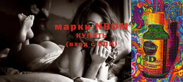 молекула духа Осташков