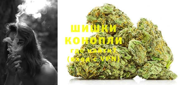 стаф Осинники