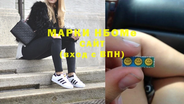 стаф Осинники